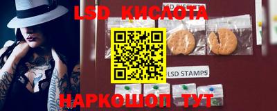 mdma Камышлов