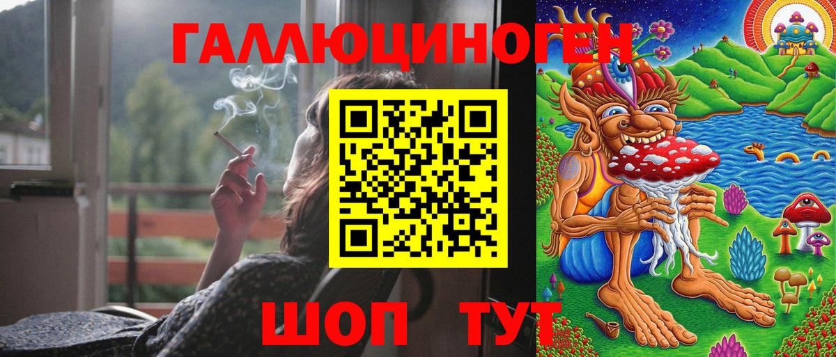 Галлюциногенные грибы Psilocybe Мытищи