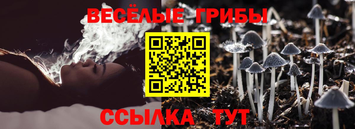 Галлюциногенные грибы Magic Shrooms  Вход с VPN  Мытищи 